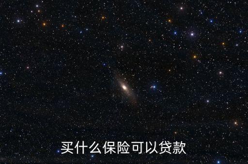 買什么保險可以貸款