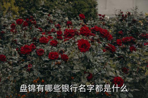 秀水支行是什么銀行，支行是什么銀行