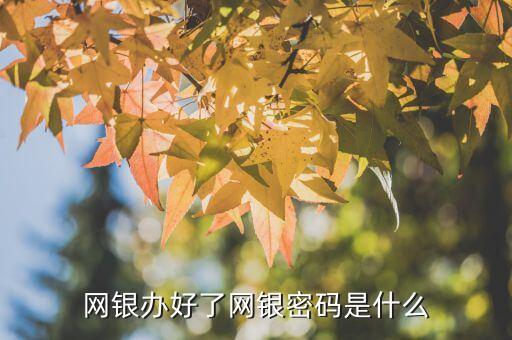 怎樣知道開通了網(wǎng)銀密碼是什么樣的，網(wǎng)銀辦好了網(wǎng)銀密碼是什么
