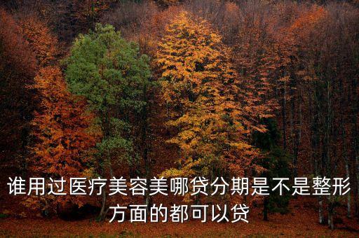 誰用過醫(yī)療美容美哪貸分期是不是整形方面的都可以貸