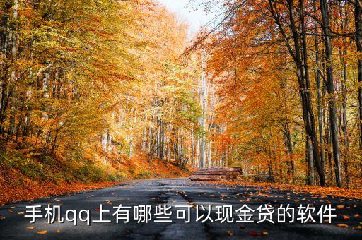 手機(jī)qq上有哪些可以現(xiàn)金貸的軟件