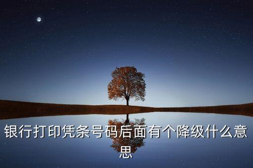 銀行打印憑條號碼后面有個降級什么意思