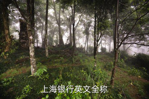 上海銀行英文全稱