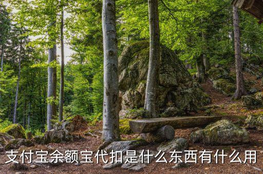 余額寶消費(fèi)代扣是什么，余額寶消費(fèi)代扣服務(wù)是什么