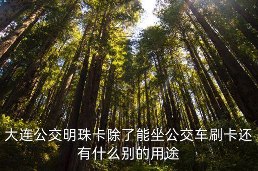 大連公交明珠卡除了能坐公交車刷卡還有什么別的用途