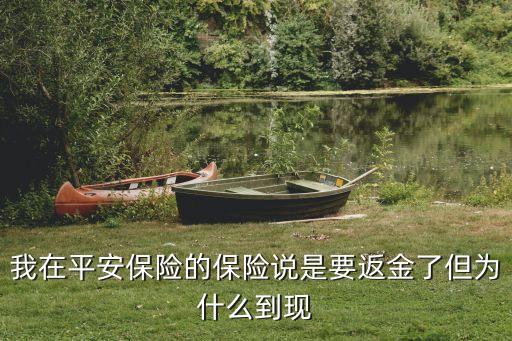 平安公司現(xiàn)金包是什么原因，我在平安保險的保險說是要返金了但為什么到現(xiàn)
