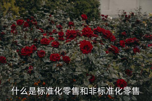 非標準化產(chǎn)品什么意思，什么是非標準化的產(chǎn)品