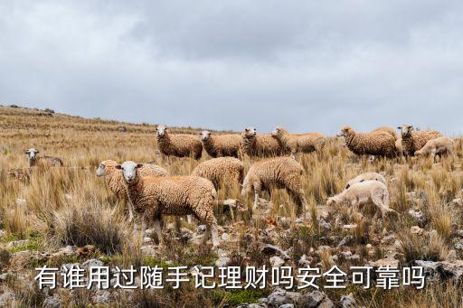 隨手記財(cái)富等級(jí)什么評(píng)價(jià)的，有誰(shuí)用過(guò)隨手記理財(cái)嗎安全可靠嗎