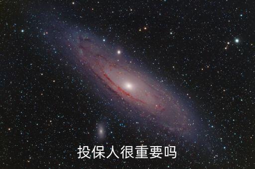投保人很重要嗎