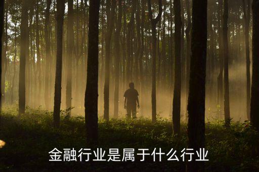 金融行業(yè)是屬于什么行業(yè)
