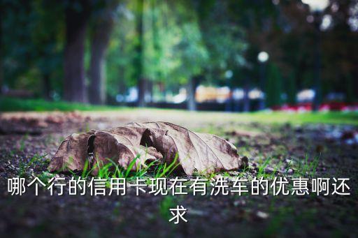 什么信用卡洗車便宜，想辦個(gè)洗車卡哪的便宜服務(wù)又好啊謝謝