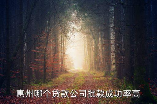 惠州融寶通叫什么平臺，惠州哪個(gè)貸款公司批款成功率高