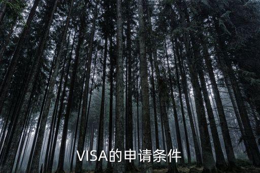 VISA的申請條件