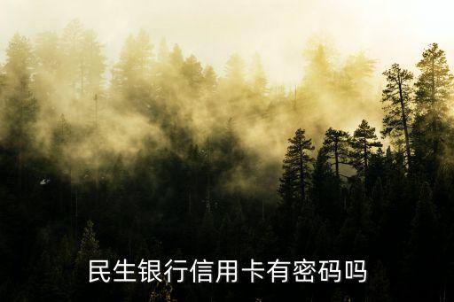 民生信用卡默認(rèn)密碼是什么意思，民生銀行的原始查詢密碼是什么