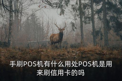 手刷POS機(jī)有什么用處POS機(jī)是用來刷信用卡的嗎