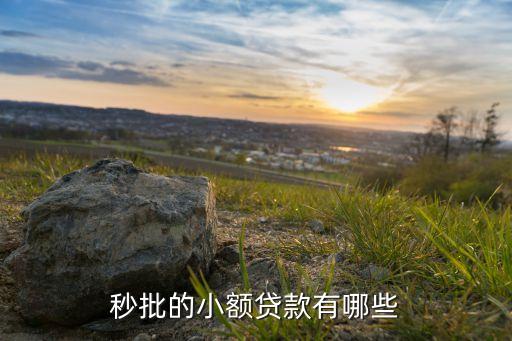 還有沒有什么秒批口子，秒批的小額貸款有哪些