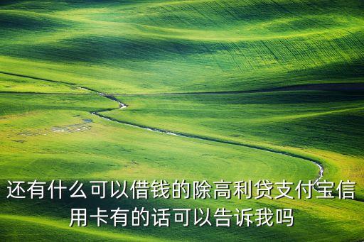 還有什么可以借錢(qián)的除高利貸支付寶信用卡有的話(huà)可以告訴我嗎