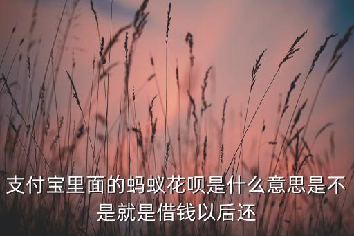 什么叫螞蟻花唄還款，什么是螞蟻花唄