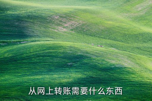 從網(wǎng)上轉(zhuǎn)賬需要什么東西