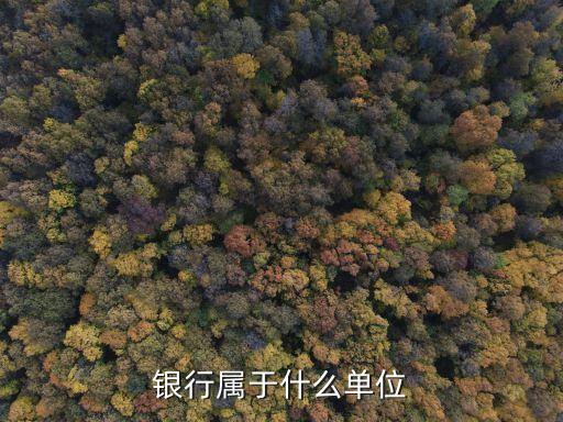 銀行機(jī)構(gòu)是什么，銀行到底是一個(gè)怎樣的機(jī)構(gòu)