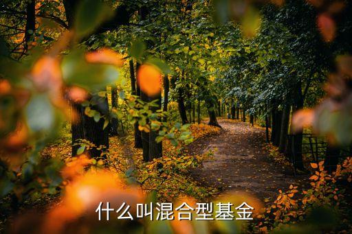 什么是混合型基金，什么是混合基金