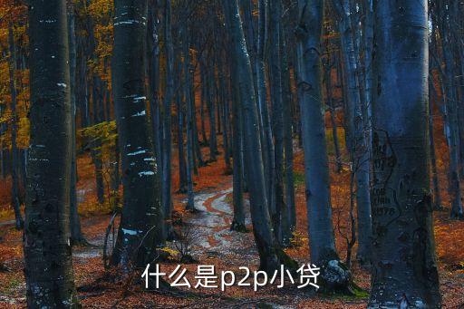 小貸p2p風(fēng)險單什么意思，什么是p2p小貸