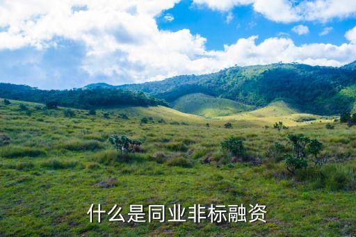 什么是同業(yè)非標(biāo)融資