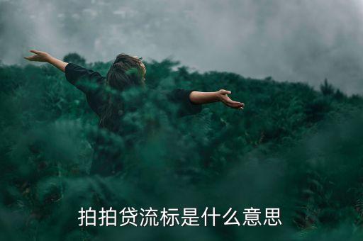 拍拍貸流標是什么意思