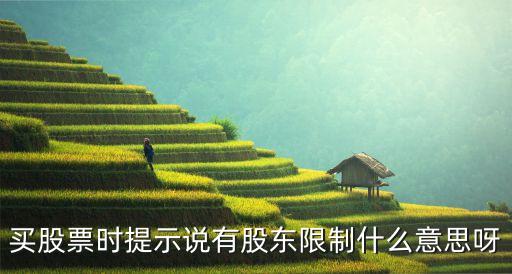 股票有股東限制什么意思，股東限制是什么意思