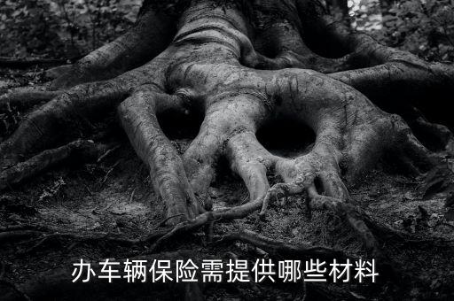 車險(xiǎn)需要什么材料，辦車輛保險(xiǎn)需提供哪些材料