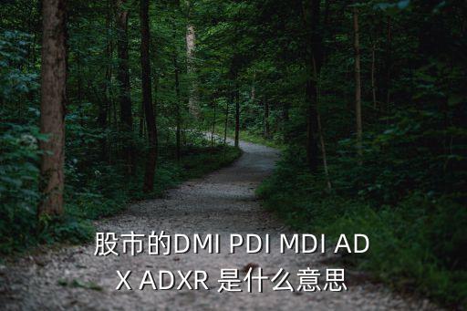 dmi指標(biāo)線各代表什么，股市的DMI PDI MDI ADX ADXR 是什么意思