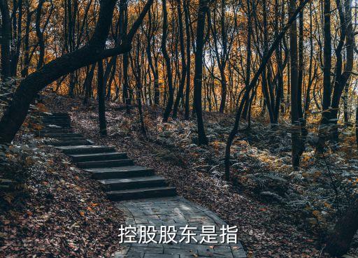 控股股東是指