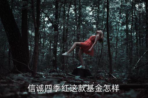 信誠四季紅是什么公司，信誠四季紅是什么該買嗎