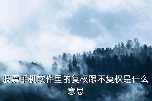 股票手機軟件里的復(fù)權(quán)跟不復(fù)權(quán)是什么意思