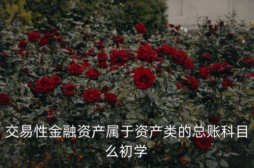 交易性金融資產(chǎn)屬于資產(chǎn)類的總賬科目么初學(xué)