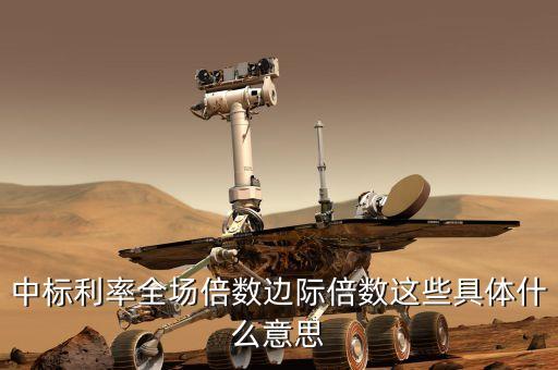 中標(biāo)利率全場(chǎng)倍數(shù)邊際倍數(shù)這些具體什么意思