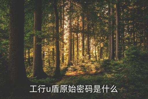 工行手機(jī)銀行u盾原密碼是什么樣的，工行u盾原始密碼是什么