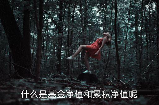 什么是基金凈值和累積凈值呢