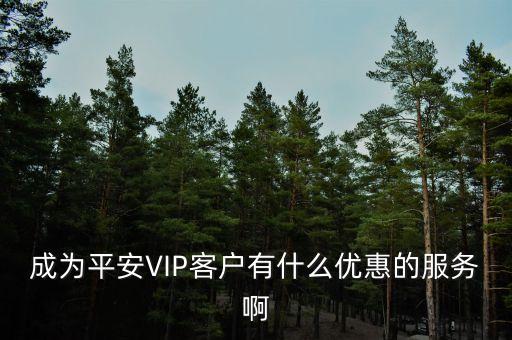 平安vip金融服務(wù)是什么意思，成為平安VIP客戶有什么優(yōu)惠的服務(wù)啊