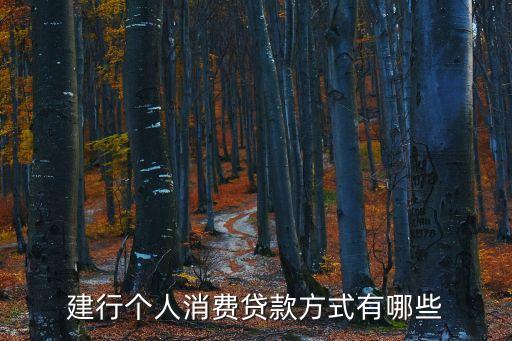 建行都有什么貸款，建設銀行有什么貸款