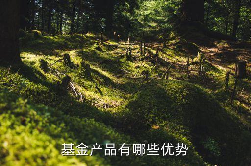 基金產(chǎn)品有哪些優(yōu)勢
