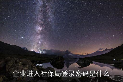 企業(yè)進入社保局登錄密碼是什么