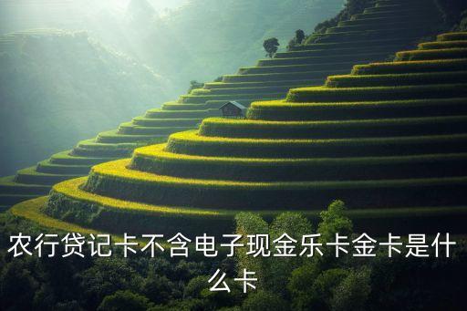 農(nóng)行貸記卡不含電子現(xiàn)金樂(lè)卡金卡是什么卡