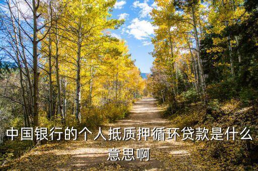 小額循環(huán)貸款是什么意思，循環(huán)貸款是什么意思