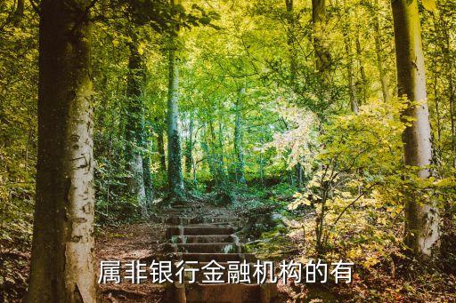 非銀行b 什么，問什么是非銀行金融機構(gòu)