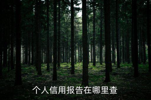 個人信用報告在哪里查