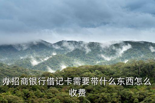 辦招商銀行借記卡需要帶什么東西怎么收費(fèi)