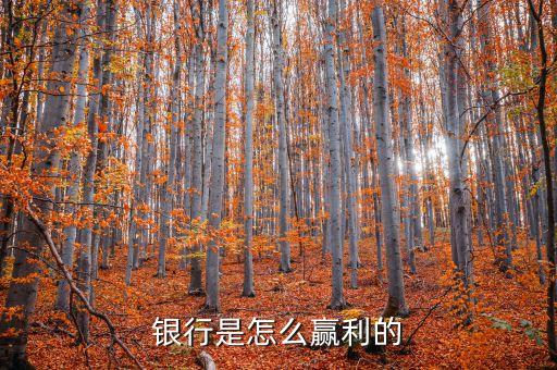 銀行靠什么掙錢，銀行是怎么賺錢的