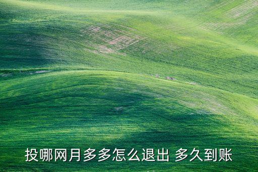 投哪網(wǎng)月多多怎么退出 多久到賬