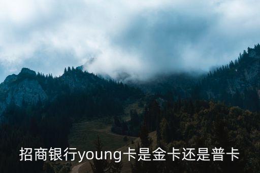 招商銀行young卡是金卡還是普卡